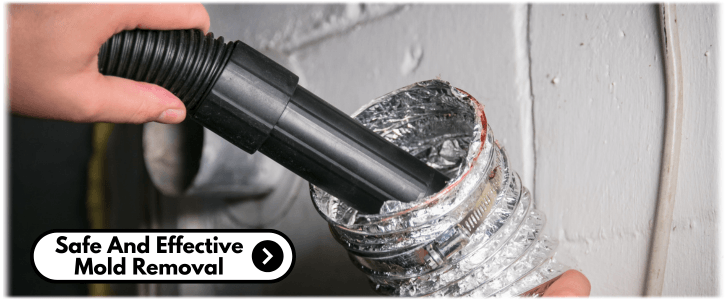 Air Duct Mold Removal in Sugar Land