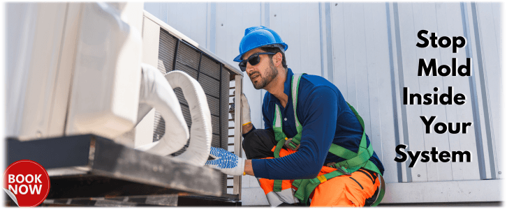 HVAC Mold Removal Sugar Land